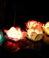 Waterlantaarn waterlelie set 5 stuks